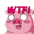 pig_wtf