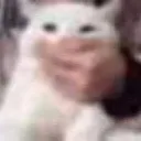 SHOCKED
