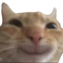 CatHappy
