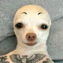 heyhahaheyyyy