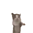 ezgif