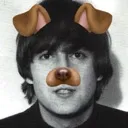 arf
