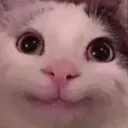 Happy_Beluga