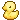 duckyyellow