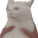 ShakeTheCat