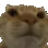 CatNo