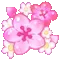 pinkflowers