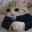 formalcar