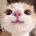 innocent_cute