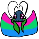jetfishpoly jetfishpoly