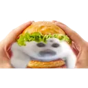 sealburger