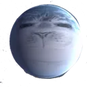 sealplush