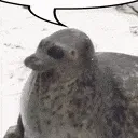 sealyap