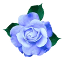 outputonlinepngtools1