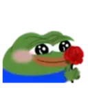 pepe_rose