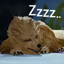 Zzzz