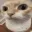 uhhcat