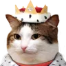 ss_catking Discord emoji