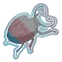 transgendence