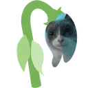 wiltedgulp