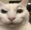 catsmirk catsmirk