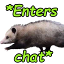 Opossum walking to the left with green text reading '*Enters chat*' above and below it.