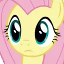 fluttershy