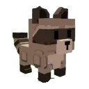 Raccoon
