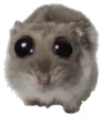 pweeze