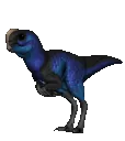OviHop