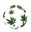 Stoner_Weed_World2