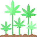 Stoner_Grow