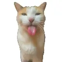 emoji_12