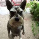 manstanding