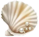 scshell