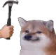 b0nk
