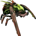green_staller