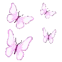 35250pinkbutterflies