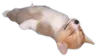 :mod: