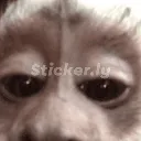 emoji_6
