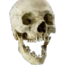 RealSkull RealSkull