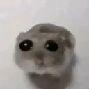emoji_50