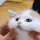 Squishy