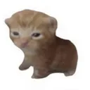 cutepettitcat
