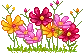 37395flowers