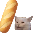 Bonk