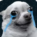 gpu_pet_dogsob