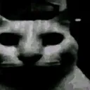 catdispair