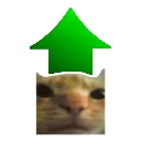 :upvote_cat: