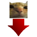 downvote_cat